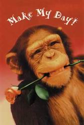 Slike "http://www.twinkle.com.hk/commposter/poster/cm0007.jpg" ne morem prikazati, ker vsebuje napake.